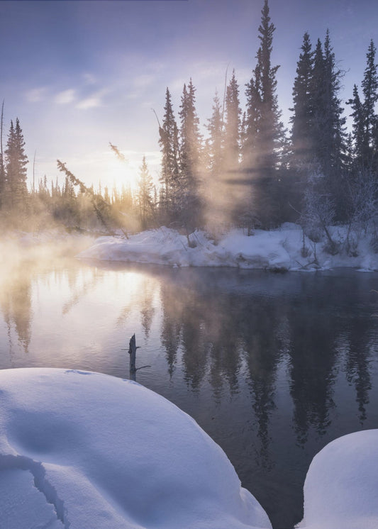 Alaskan Winter | Poster