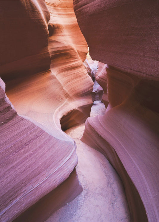 Lila Canyon | Poster