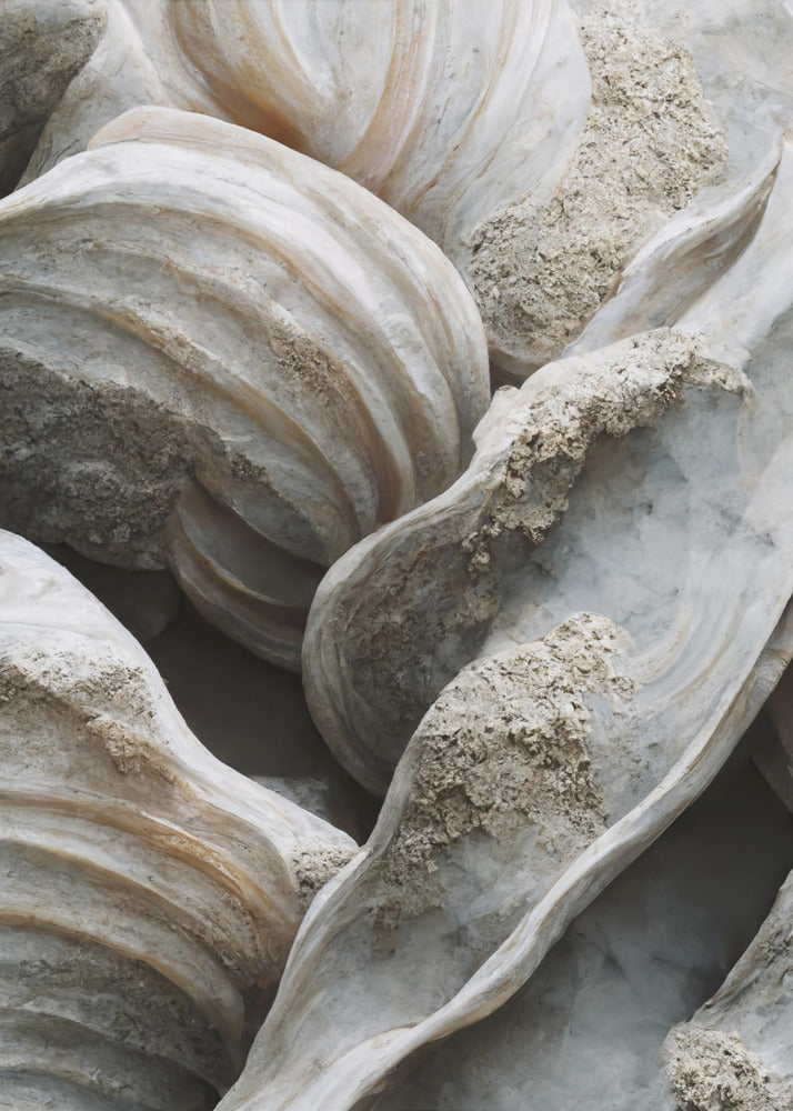 Muschelsymphonie | Poster