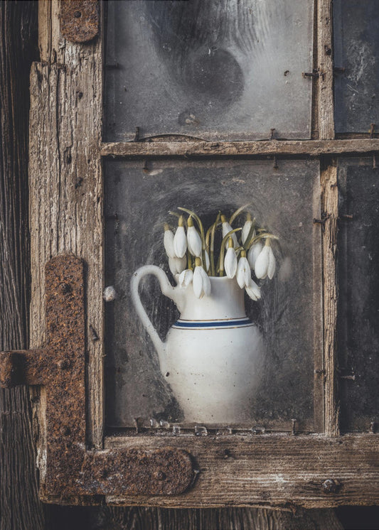 Frühlingsblumen im Fenster | Poster