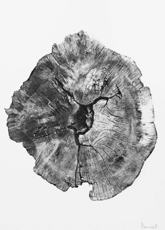 Oak Log | Poster