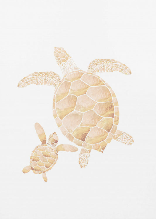 Goldweiße Schildkröten | Poster