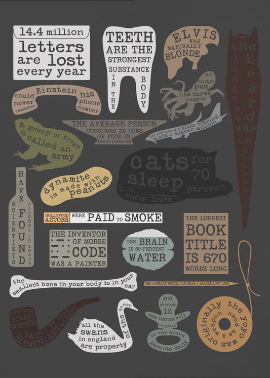 Useful Facts | Canvas