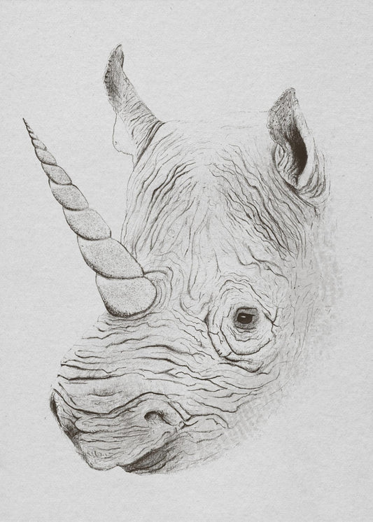 Rhinoplasty | Canvas