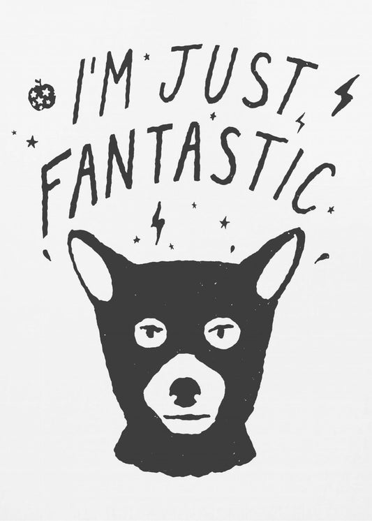 Im Just Fantastic | Poster