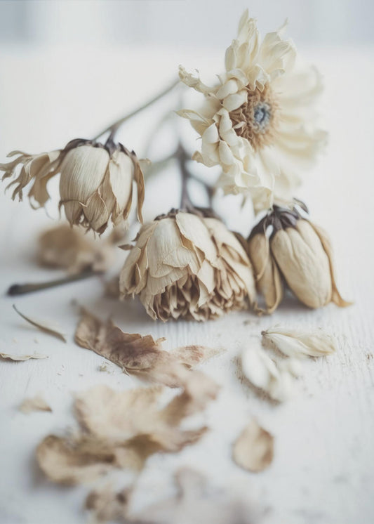 Faded Elegance | Canvas