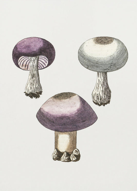 Handgemalter violetter Webcap-Pilz | Leinwand