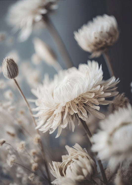 Petals in Whisper | Poster