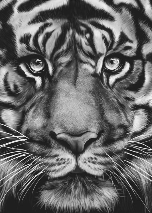 Tiger | Leinwand