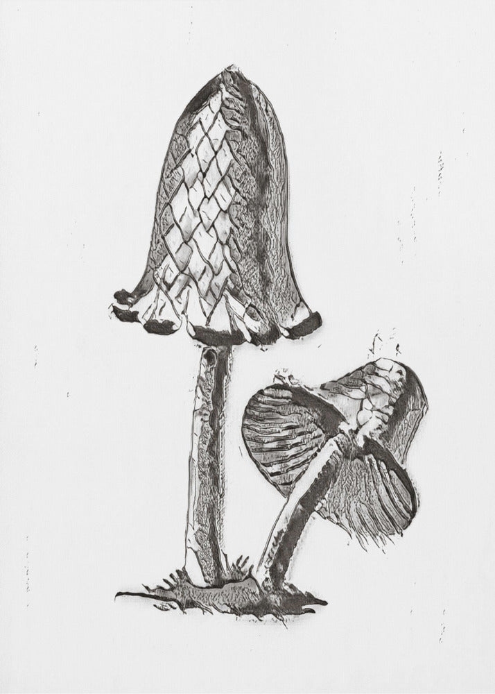 Vintager Tintenfisch-Esspilz, BW, hell | Poster