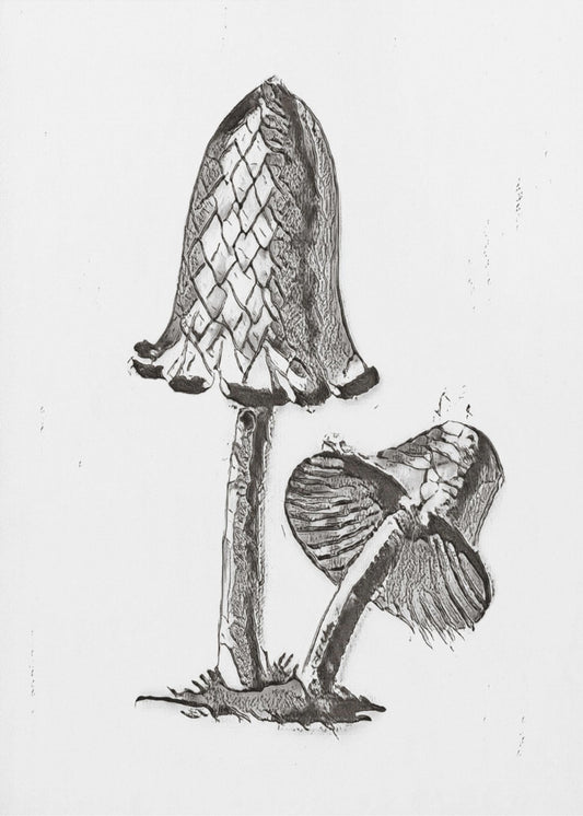 Vintage Tintenfisch-Esspilz BW Hell | Leinwand