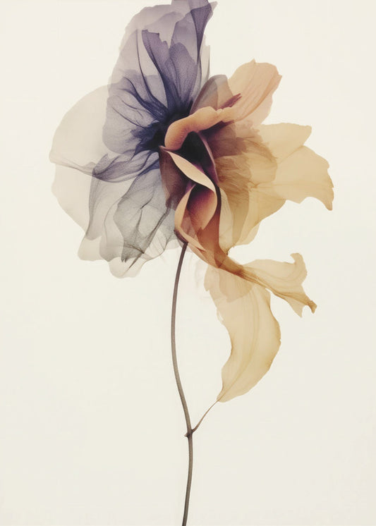 Chiffonblume | Leinwand