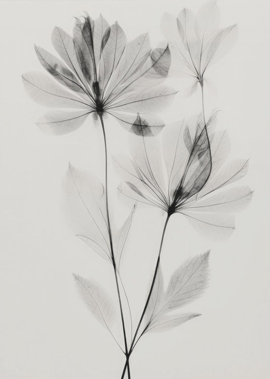 Ätherische Blüten | Leinwand
