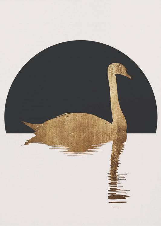 Der Schwan Schwarz | Poster