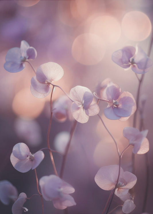 Ätherische Blüten | Leinwand