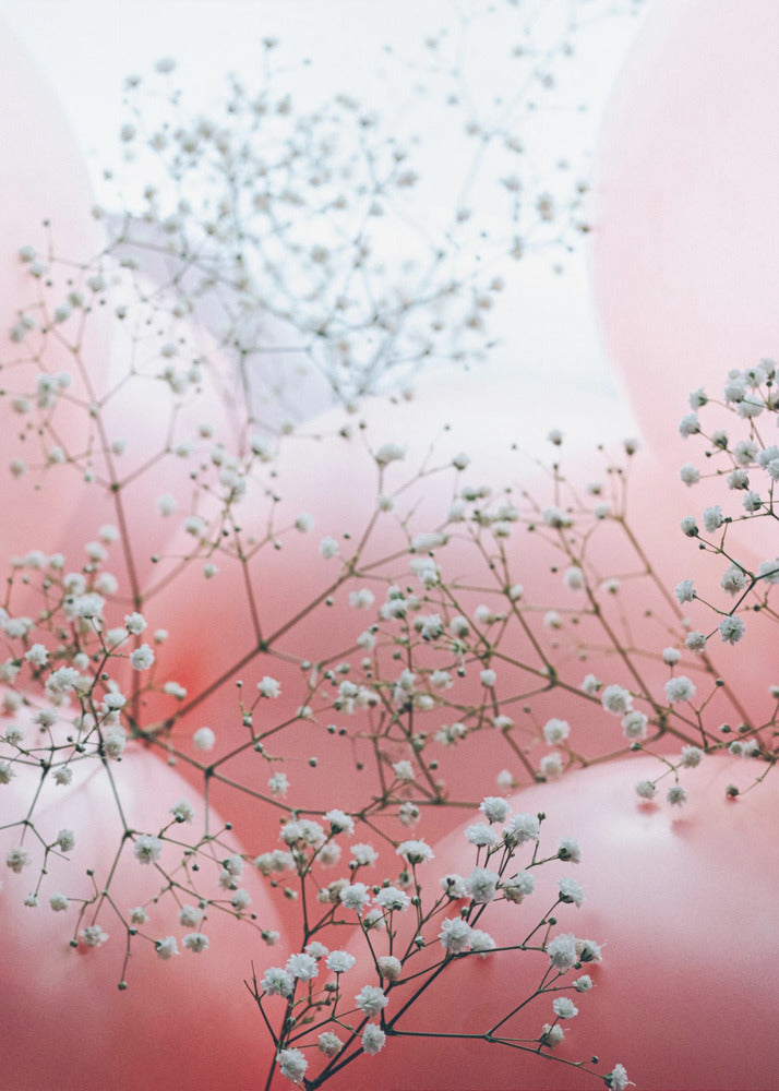 Zarte Blüten und rosa Luftballons | Poster