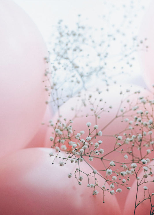 Zarte Ballons mit Blume | Poster