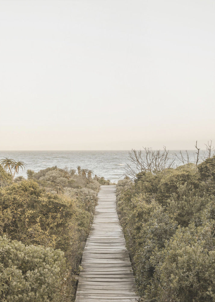 Pathway to Tranquility | Poster