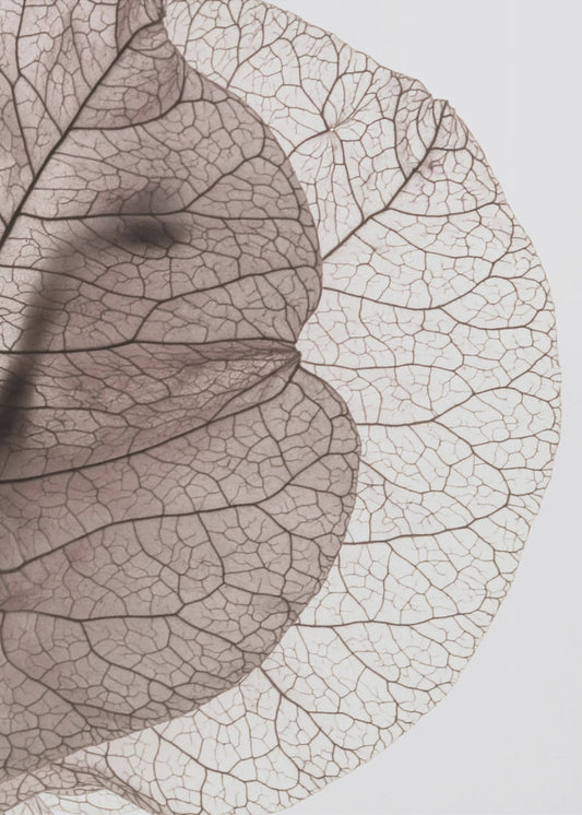 Adern der Natur | Poster