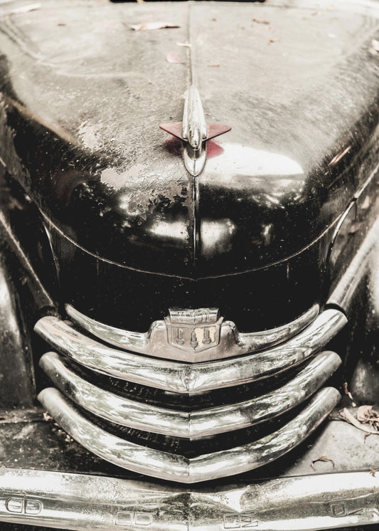 Vintage-Eleganz | Poster