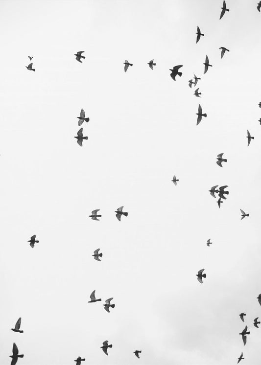Flug in Stille | Poster