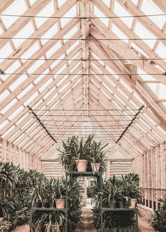 Serene Greenhouse | Poster