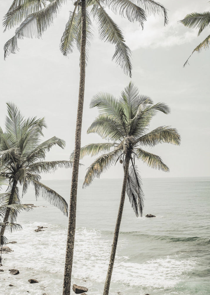 Serene Palm Coast | Poster