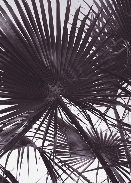 Palmensilhouette | Leinwand