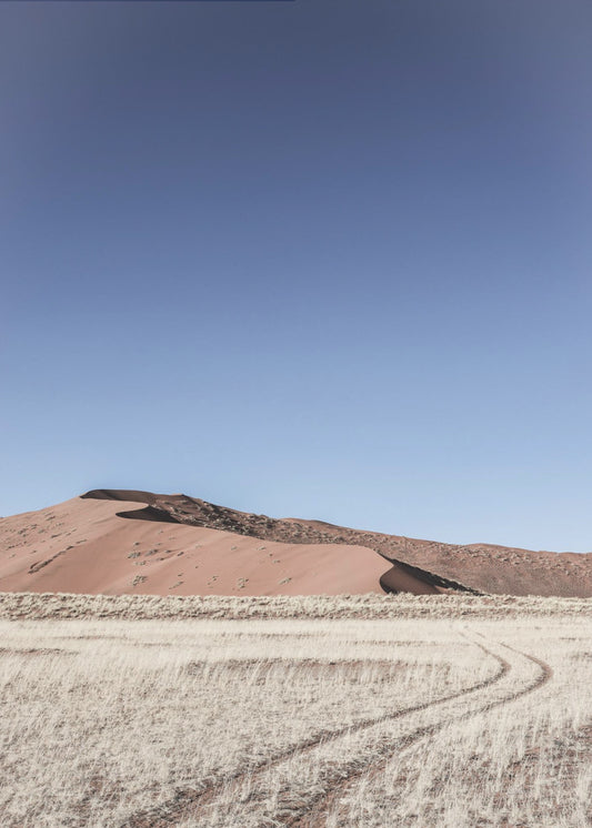 Desert Serenity | Canvas