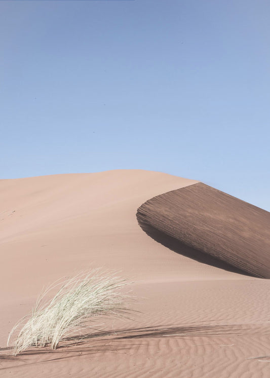 Desert Morningscape | Canvas