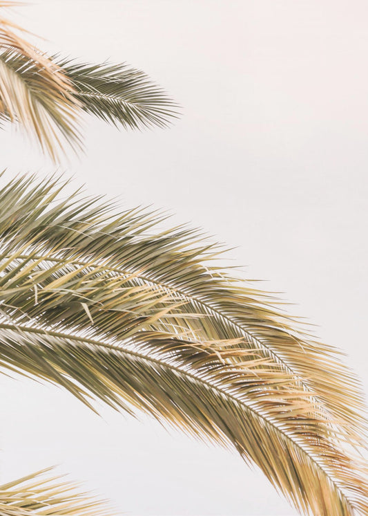 Goldene Palmenbrise | Leinwand