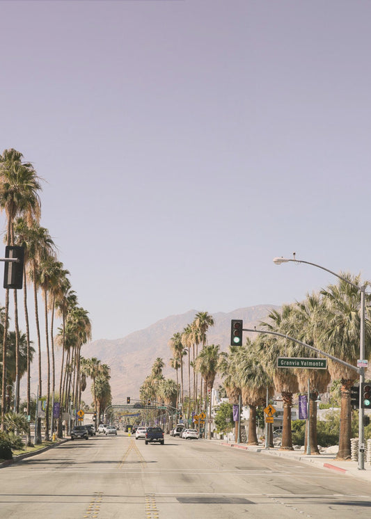Palmenallee | Leinwand