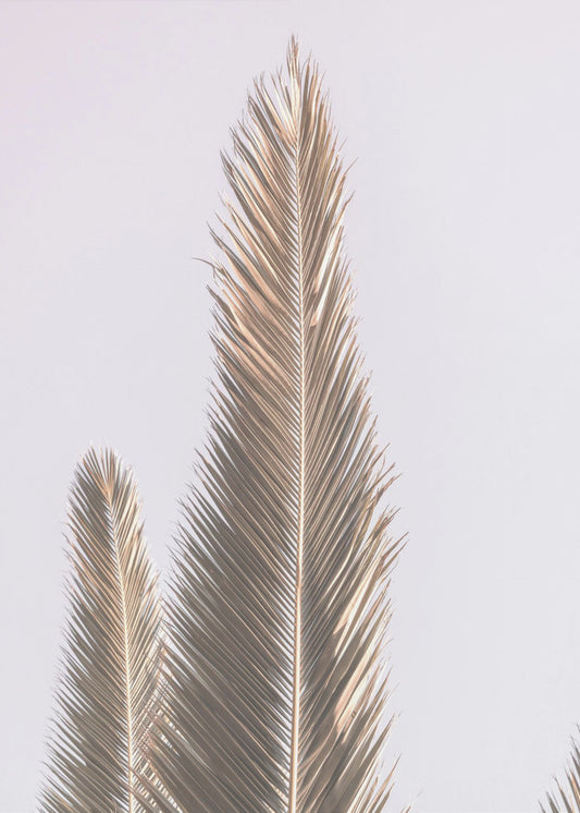 Golden Fronds Skyward | Poster