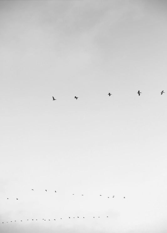 Himmelsflug | Leinwand
