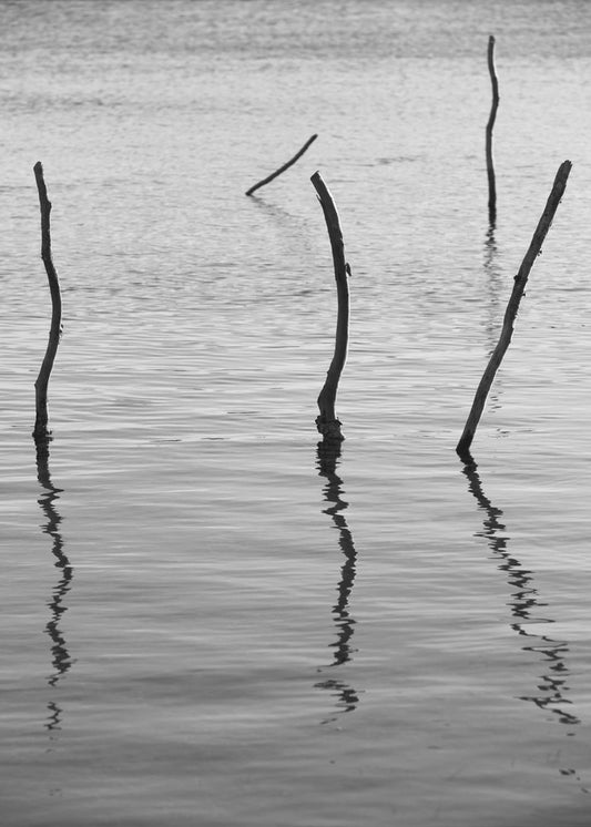 Stille Reflexionen | Leinwand