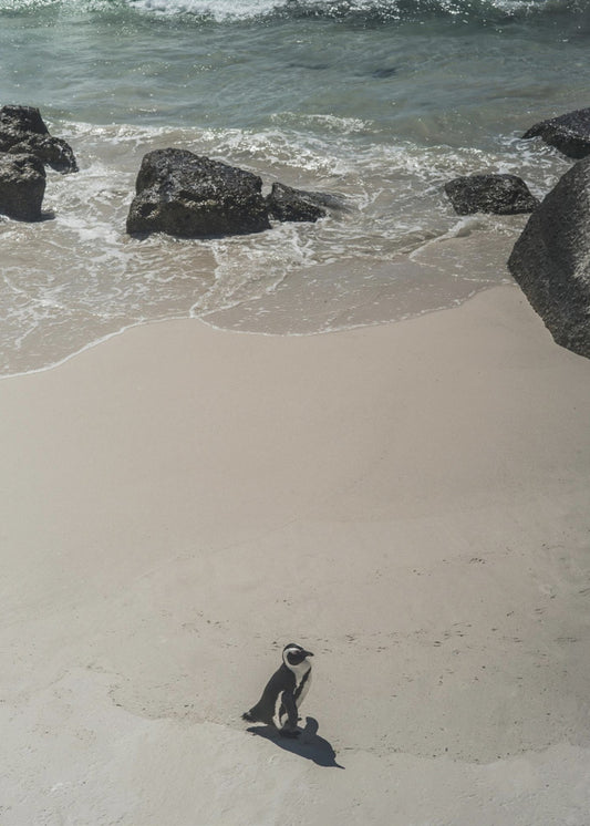 Einsamer Strandspaziergang | Poster