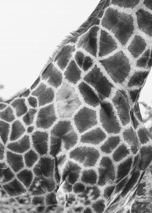Komplizierte Muster der Haut einer Giraffe | Leinwand