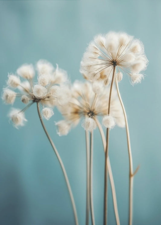 Puffs in the Breeze | Canvas