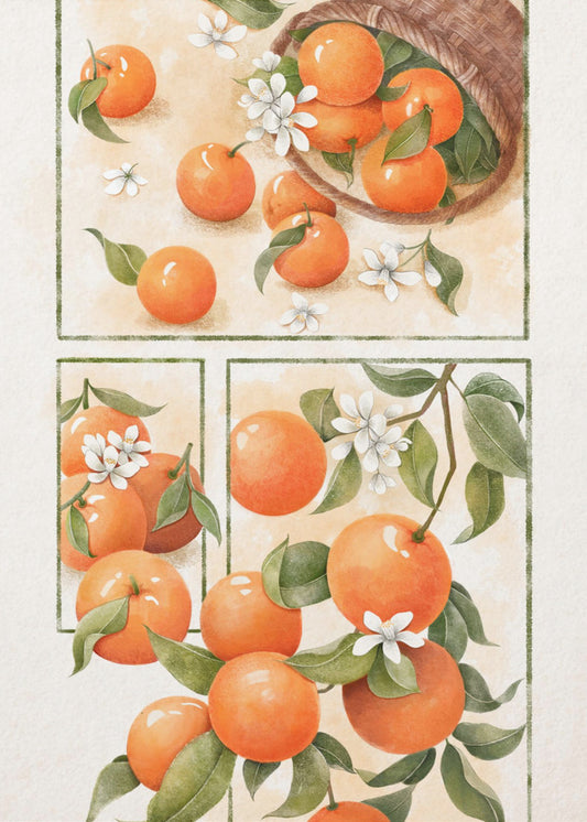 Orange Blossom | Canvas