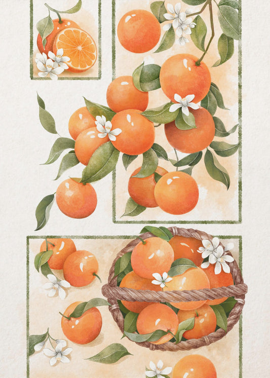 Orange Blossom | Canvas