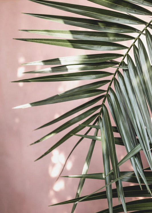 Palm Leaves 23 | Canvas