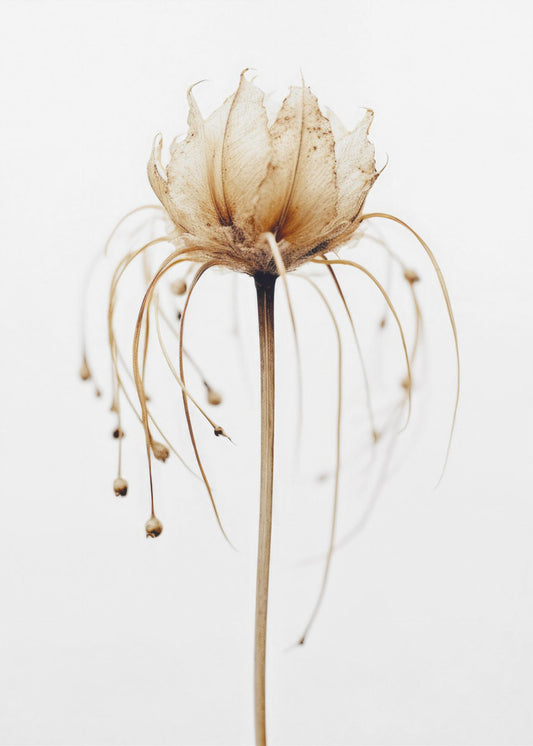 Ätherische Blüte | Leinwand