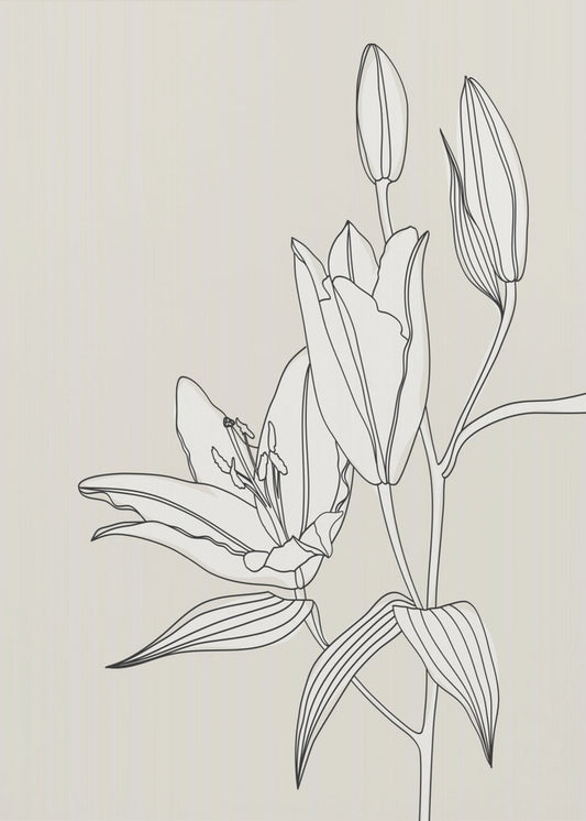 Line Art Lilien in Beige | Poster