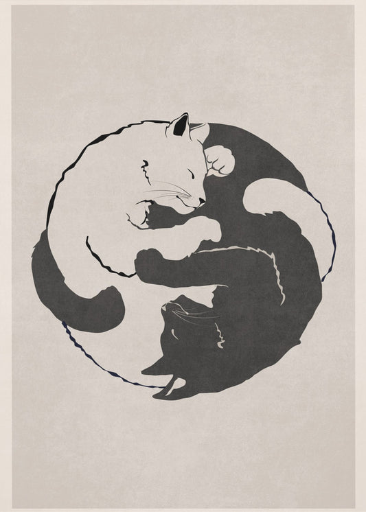 Katzenharmonie | Poster