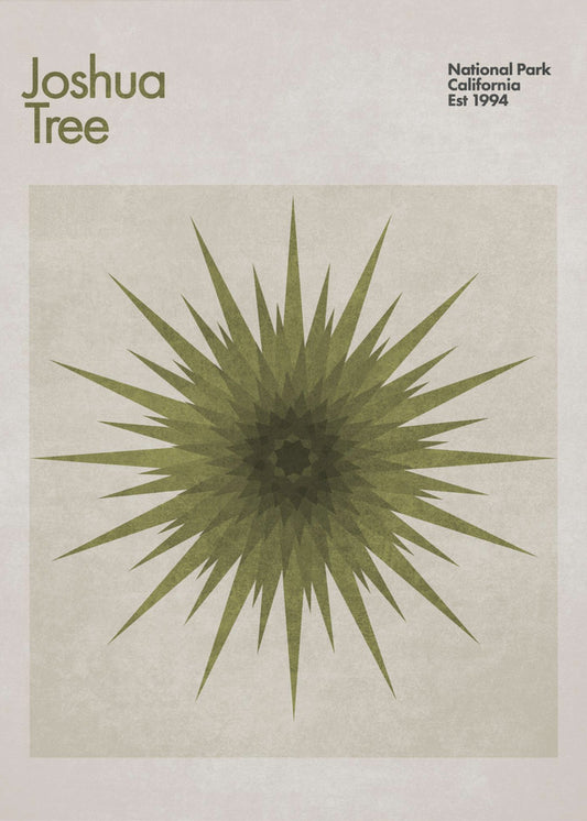 Starburst Flora | Canvas