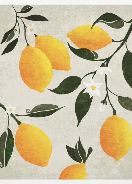 Citrus Symphony | Canvas
