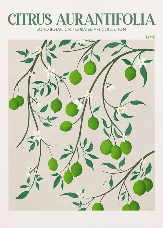 Botanical Lime Bliss | Canvas