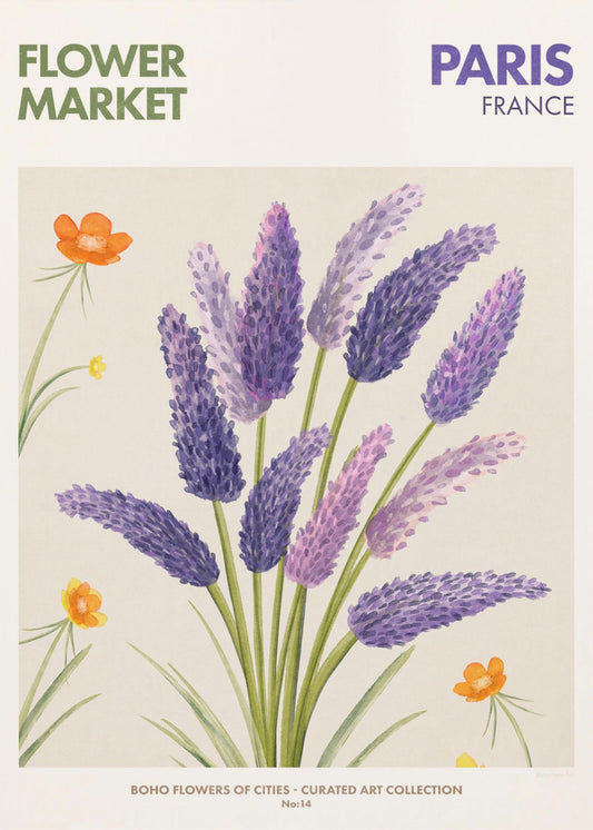 Lavendelblüten | Poster