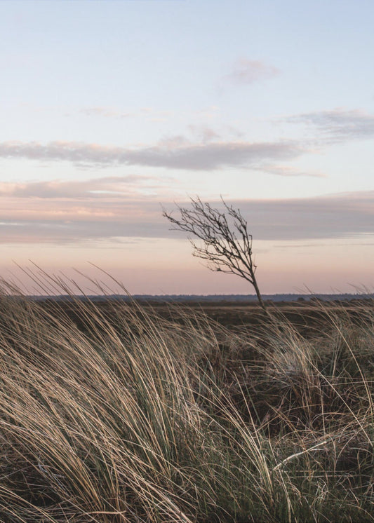 At the Coast 4 | Canvas