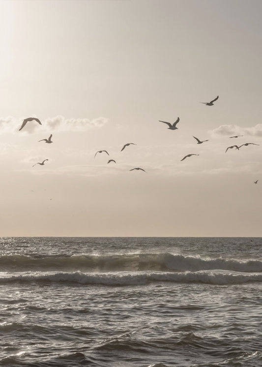 Birds and the Sea 3 | Canvas